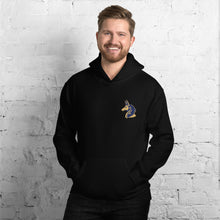 Load image into Gallery viewer, Men's Black "Anubis" Hoodie