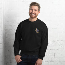 Load image into Gallery viewer, Men&#39;s Black &quot;Anubis&quot; Sweatshirt
