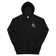 Load image into Gallery viewer, Women&#39;s Black &quot;Anubis&quot; Hoodie
